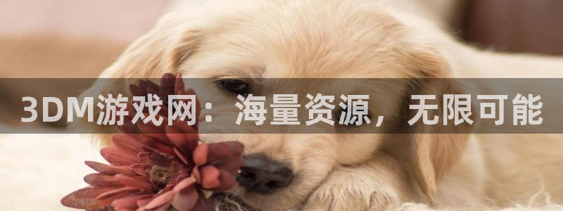 杏盛登录平台：3DM游戏网：海量资源，无限可能