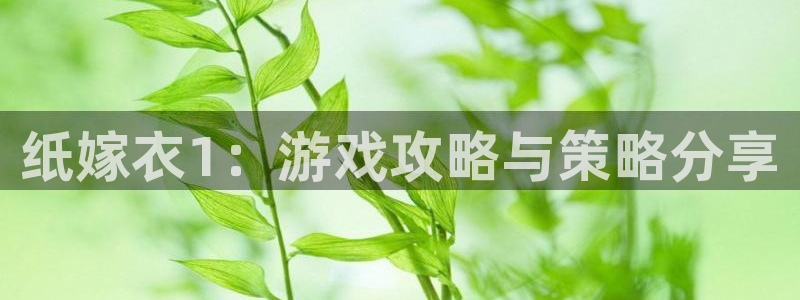 杏盛注册：纸嫁衣1：游戏攻略与策略分享