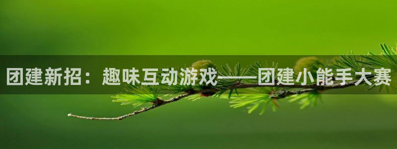 杏盛主管是谁：团建新招：趣味互动游戏——团建小能手大赛