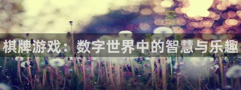 杏盛平台服务：棋牌游戏：数字世界中的智慧与乐趣