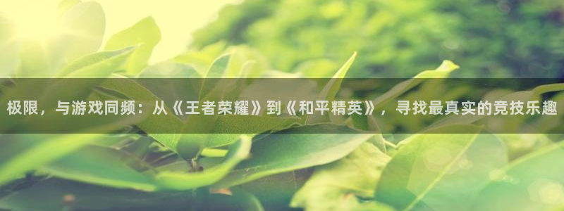 杏盛平台主管：极限，与游戏同频：从《王者荣耀》到《和平精英》