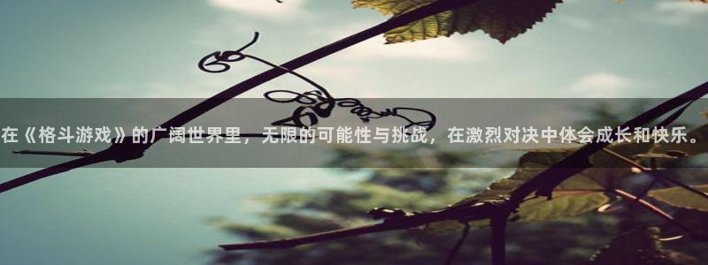杏盛平台代理：在《格斗游戏》的广阔世界里，无限的可能性与挑战