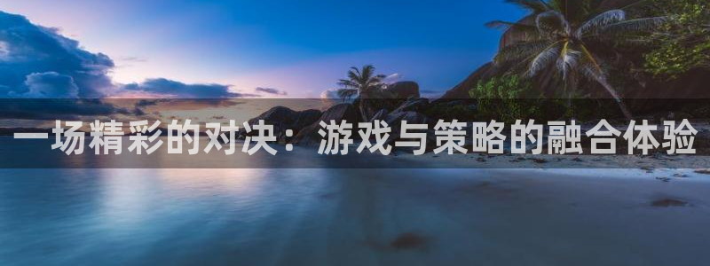 杏盛：一场精彩的对决：游戏与策略的融合体验