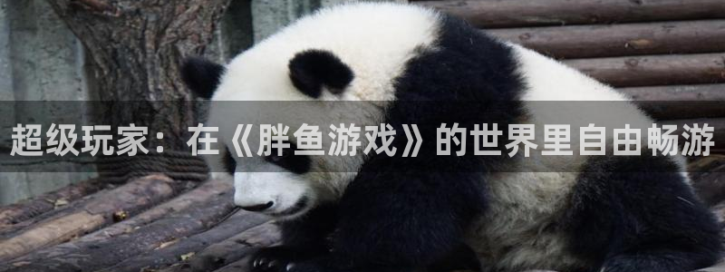 杏盛注册平台：超级玩家：在《胖鱼游戏》的世界里自由畅游