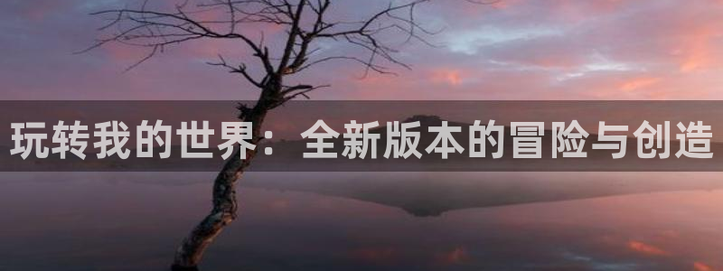 杏盛主管：玩转我的世界：全新版本的冒险与创造